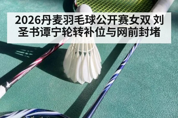 2026丹麦羽毛球公开赛女双 刘圣书谭宁轮转补位与网前封堵